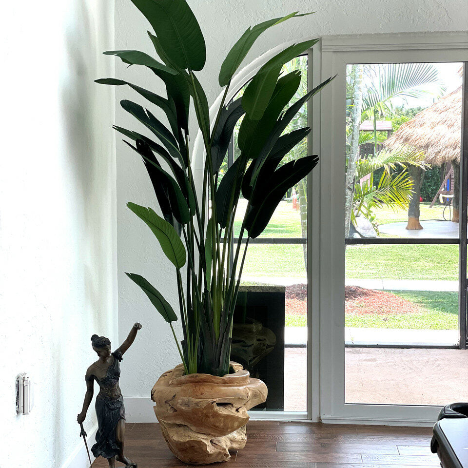 Große Vase aus Teakholz mit prächtiger Strelitzie (Paradiesvogelblume)