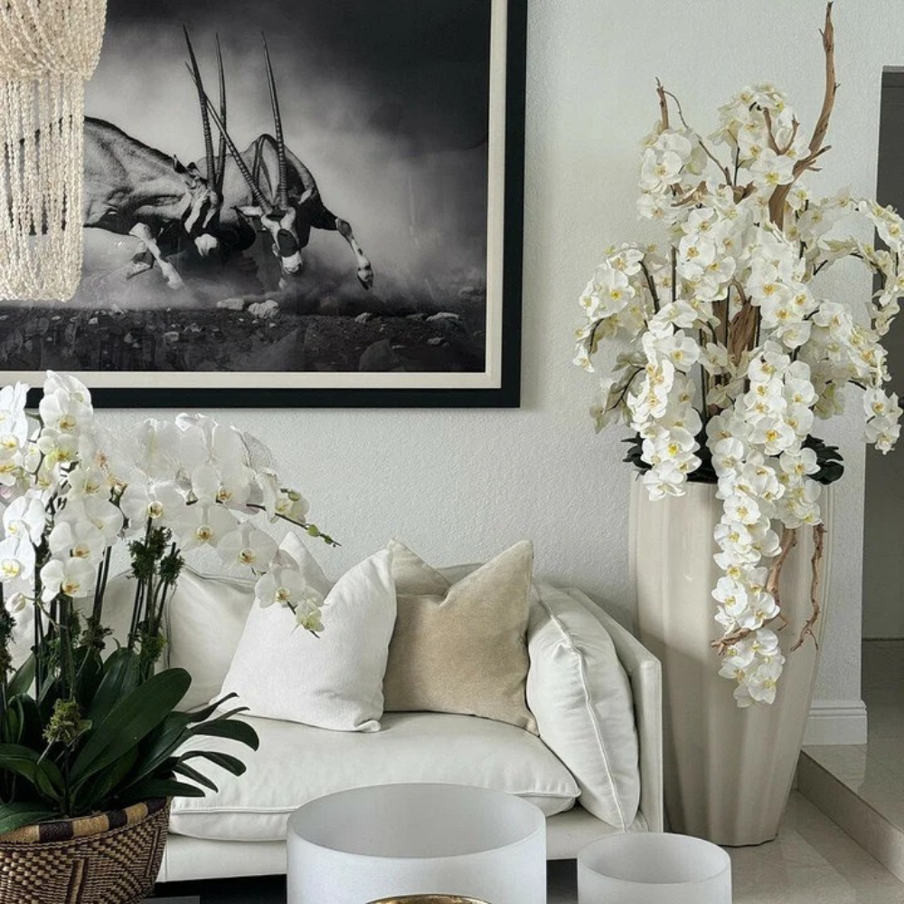 Kunstpflanzen-Set – 10 Stück | Orchideen