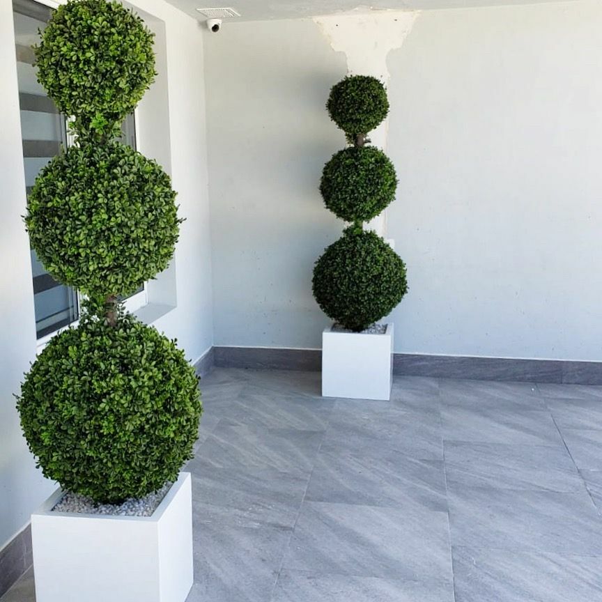 Dreifachkugel-Topiary mit mittelgroßem Fiberglas-Pflanzgefäß