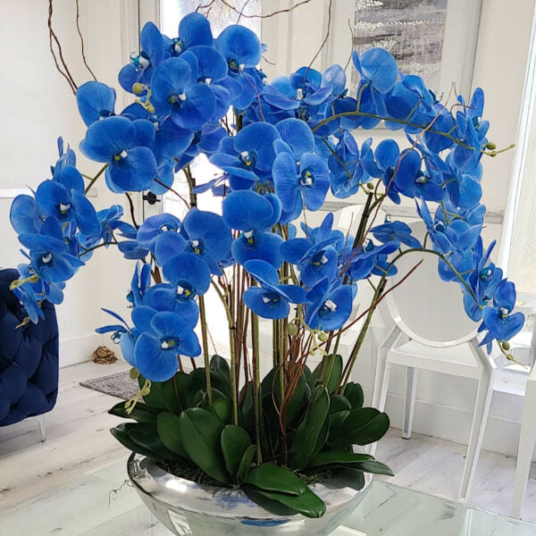 Avenue-Dekoschale mit blauen Phalaenopsis-Orchideen