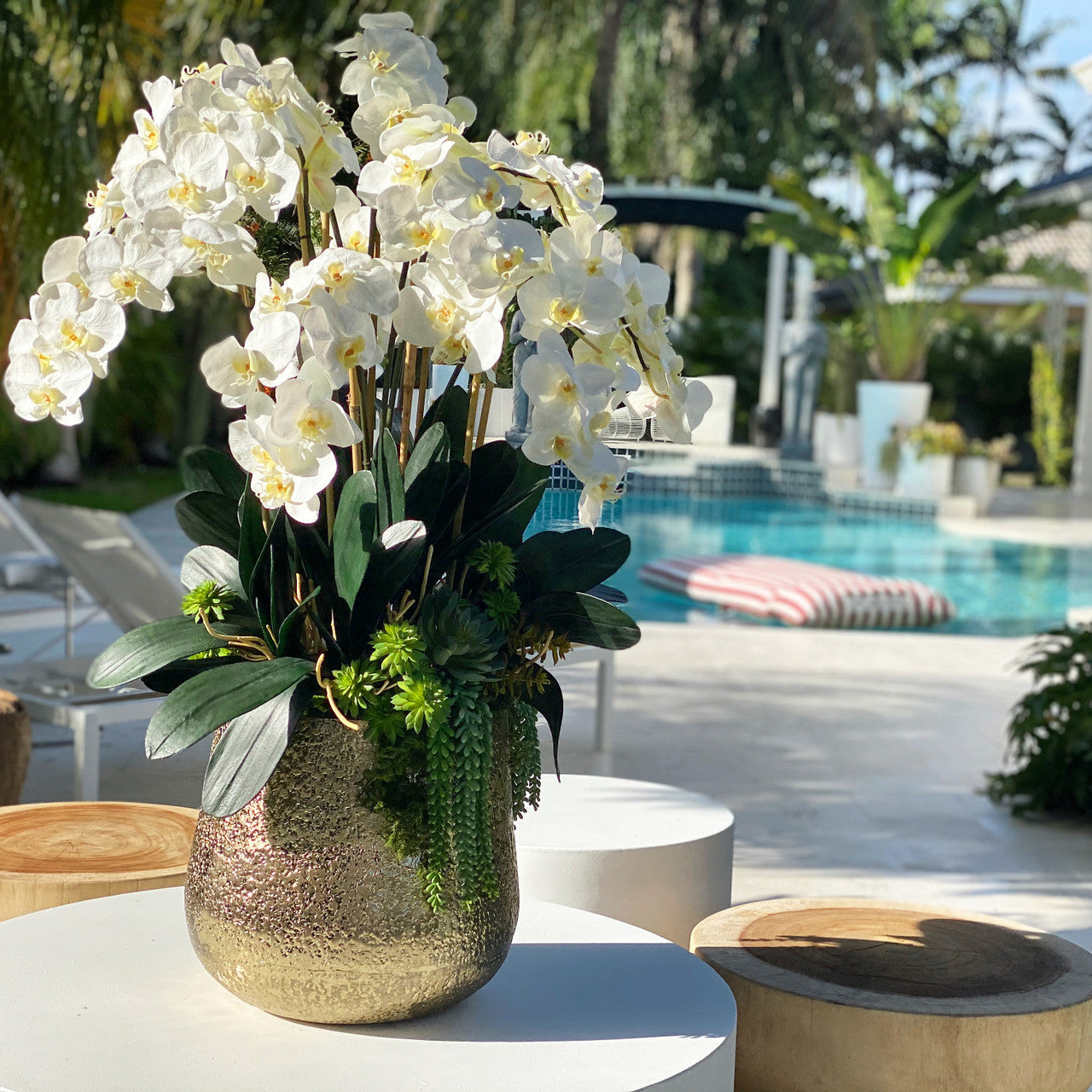 Delaney-Vase in Gold mit mehreren Phalaenopsis-Orchideenstängeln und Sukkulenten