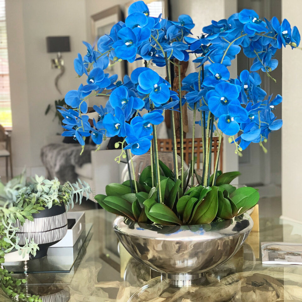 Avenue-Dekoschale mit blauen Phalaenopsis-Orchideen
