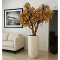 Magnolienbaum in Beige im glänzend weißen Pflanzgefäß – Neu eingetroffen