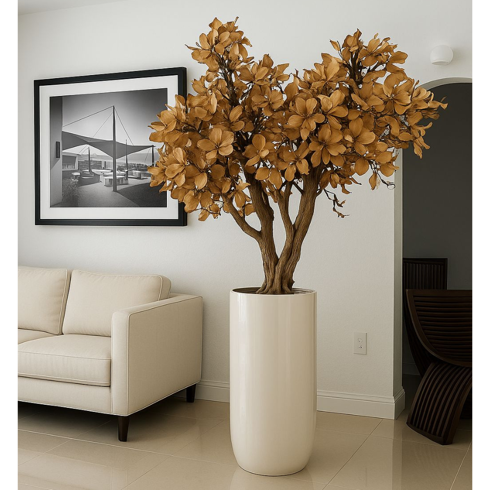 Magnolienbaum in Beige im glänzend weißen Pflanzgefäß – Neu eingetroffen