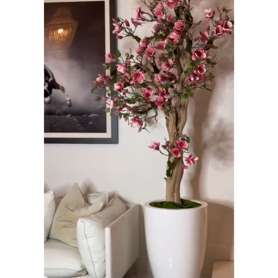 Rosa Magnolienbaum im St. Tropez-Pflanzgefäß in strahlendem Weiß – Neuerscheinung
