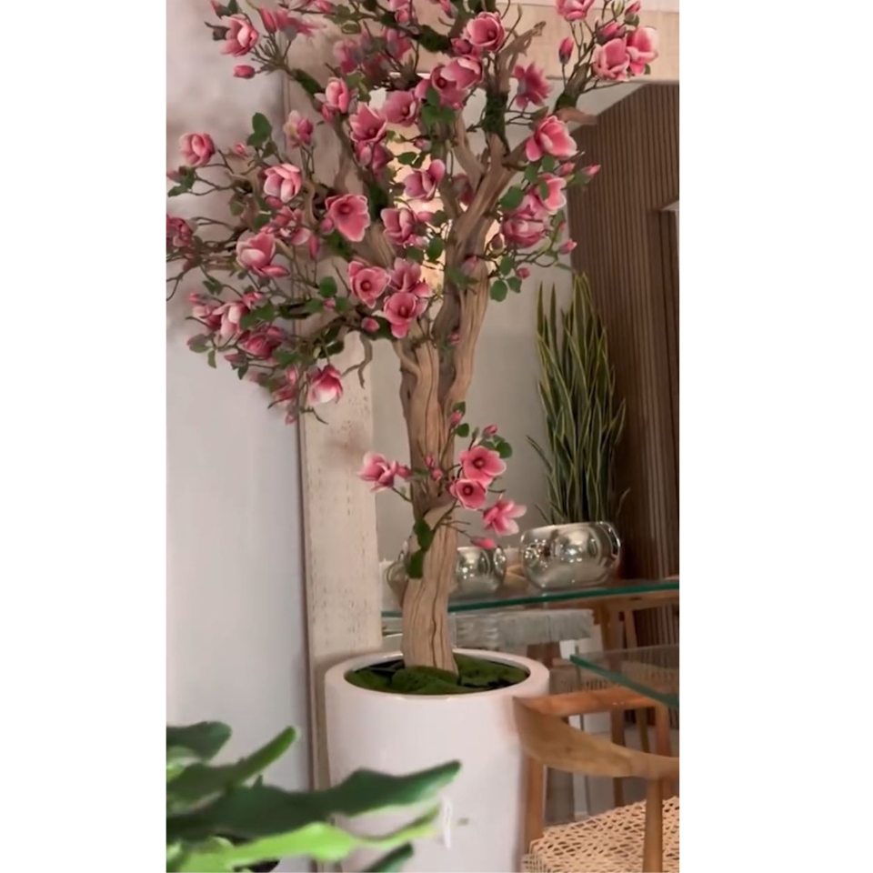 Rosa Magnolienbaum im St. Tropez-Pflanzgefäß in strahlendem Weiß – Neuerscheinung