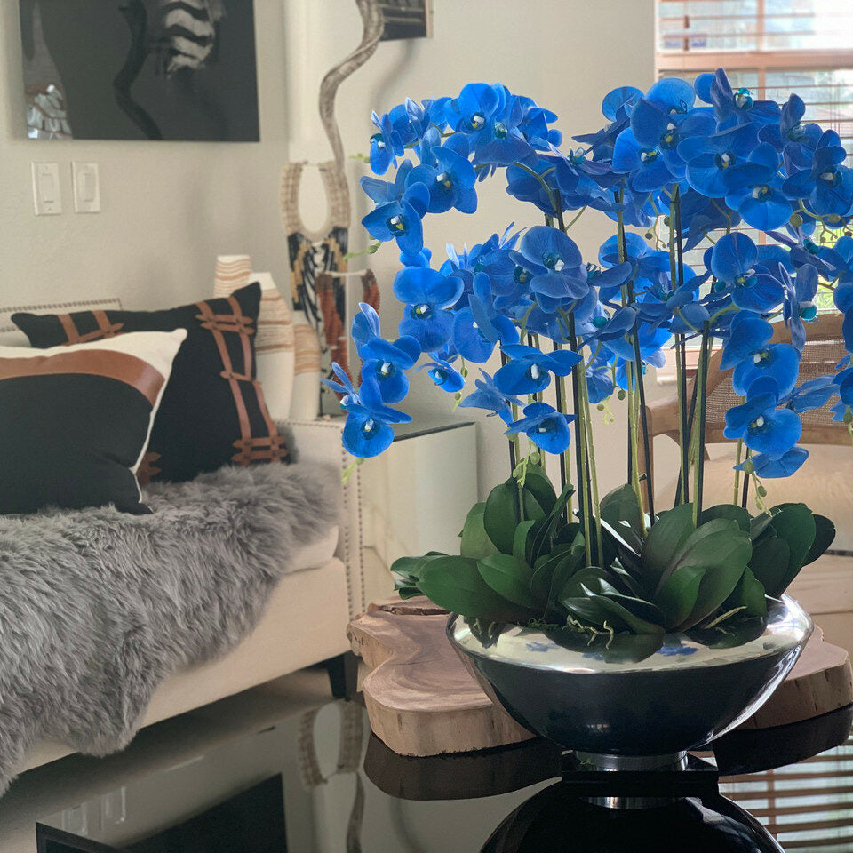 Avenue-Dekoschale mit blauen Phalaenopsis-Orchideen
