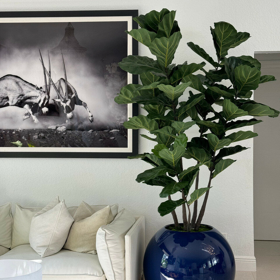 30″ blaue Kugelvase mit Geigenfeige