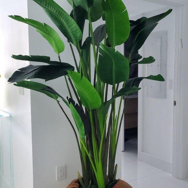 Große Vase aus Teakholz mit prächtiger Strelitzie (Paradiesvogelblume)