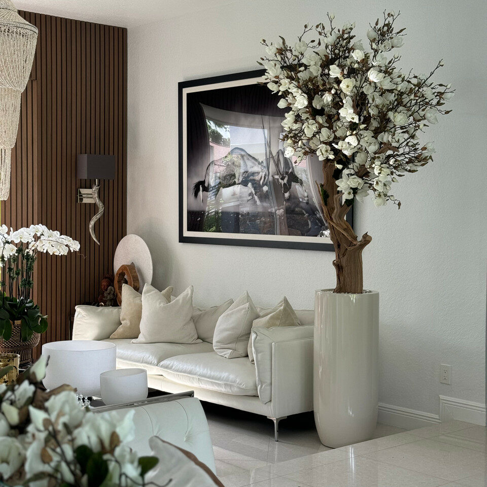 Weißer Magnolienbaum im glänzenden St. Tropez Beige Pflanzgefäß