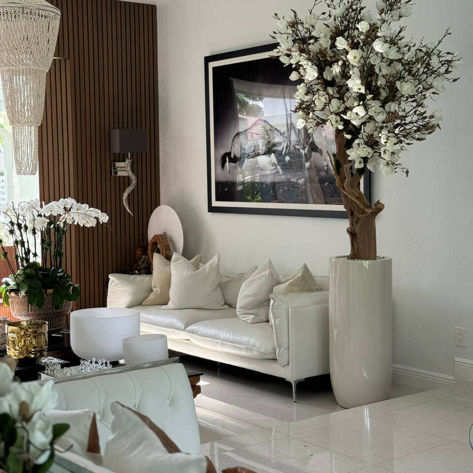 Weißer Magnolienbaum im glänzenden St. Tropez Beige Pflanzgefäß