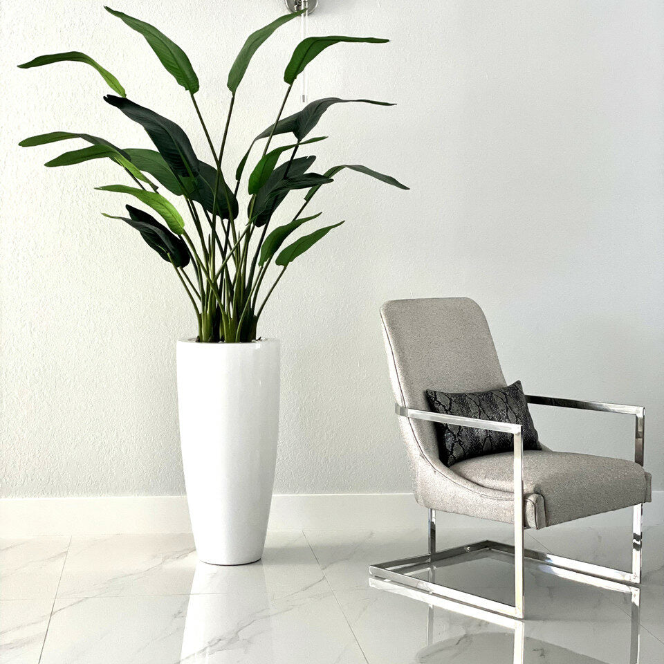 2,1 m Paradiesvogelblume mit Dax L Pflanzgefäß