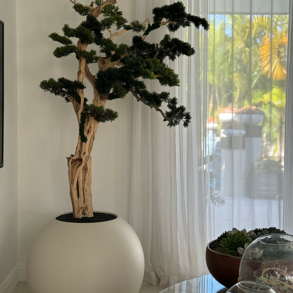 Bonsai-Baum im kugelförmigen Pflanzgefäß – 180 cm, Satinbeige