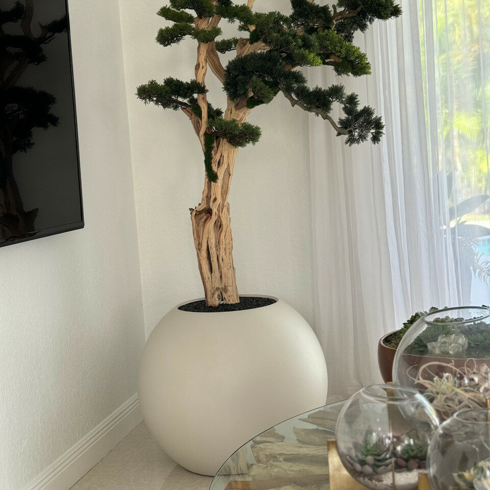 Bonsai-Baum im kugelförmigen Pflanzgefäß – 180 cm, Satinbeige