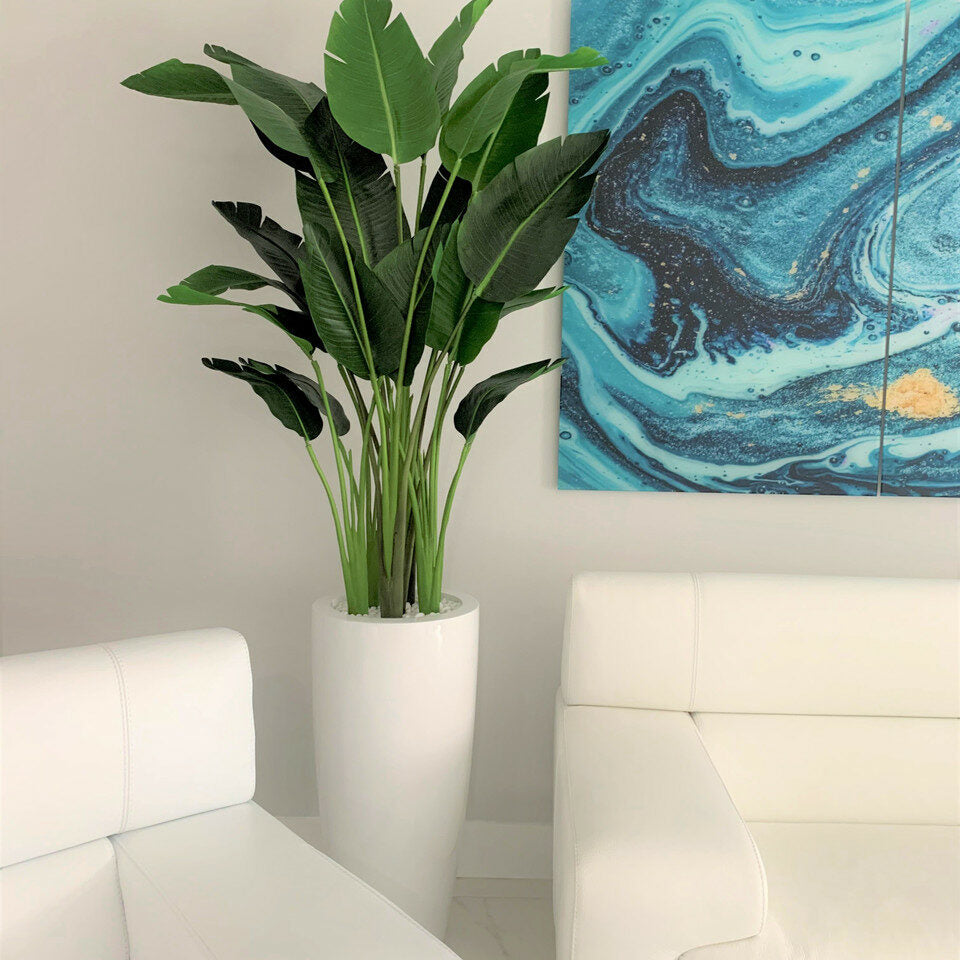 2,1 m Paradiesvogelblume mit Dax L Pflanzgefäß