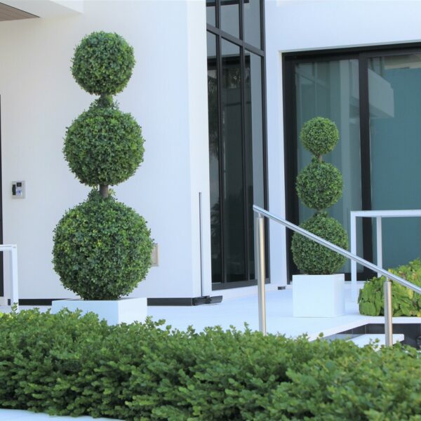 Dreifachkugel-Topiary mit mittelgroßem Fiberglas-Pflanzgefäß
